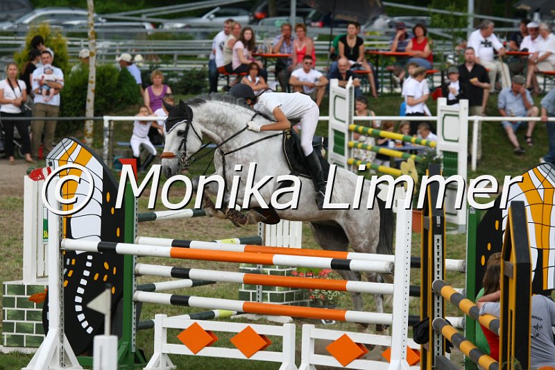 105M4478_Chili Pepper_Spring_M.JPG